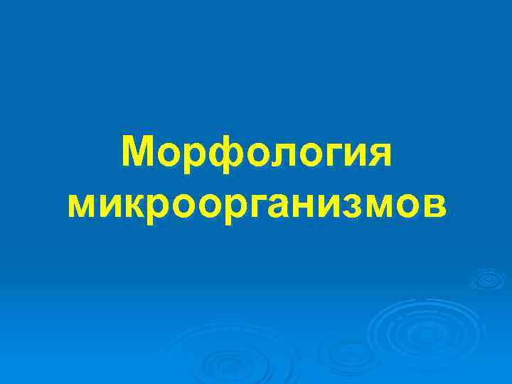  Морфология микроорганизмов 