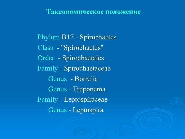  Таксономическое положение Phylum B 17 - Spirochaetes Class - "Spirochaetes" Order - Spirochaetales