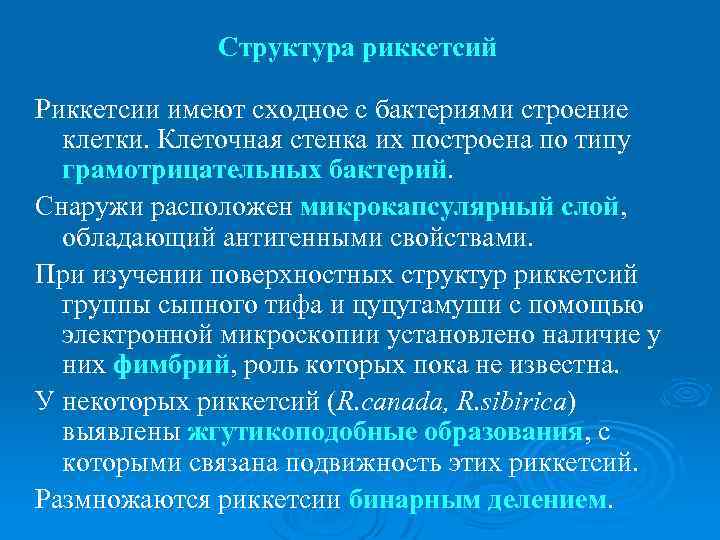  Структура риккетсий Риккетсии имеют сходное с бактериями строение клетки. Клеточная стенка их построена