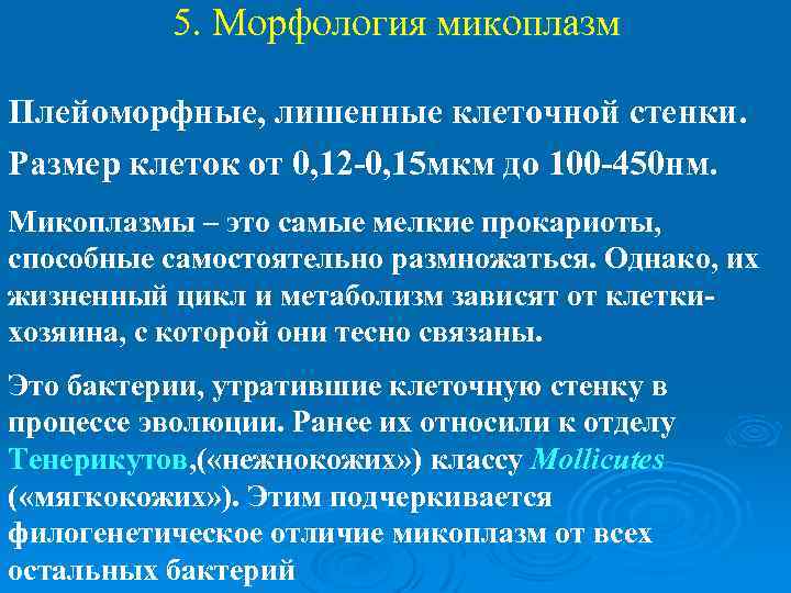  5. Морфология микоплазм Плейоморфные, лишенные клеточной стенки. Размер клеток от 0, 12 -0,