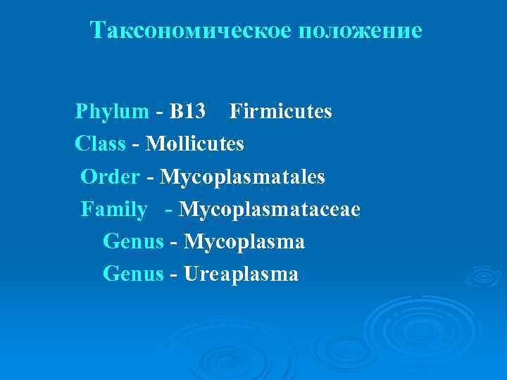  Таксономическое положение Phylum - B 13 Firmicutes Class - Mollicutes Order - Mycoplasmatales