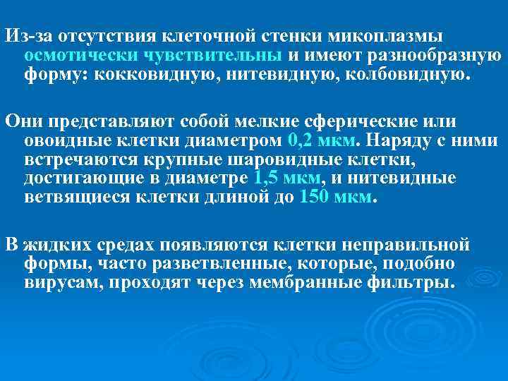 Из-за отсутствия клеточной стенки микоплазмы осмотически чувствительны и имеют разнообразную форму: кокковидную, нитевидную, колбовидную.