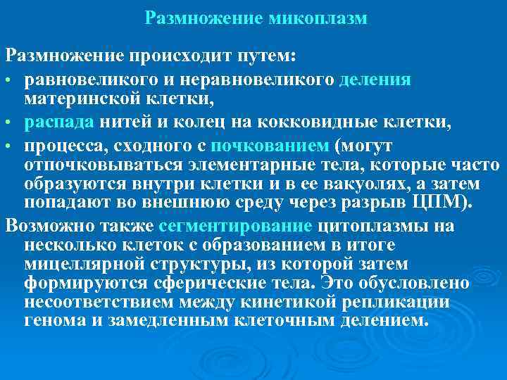  Размножение микоплазм Размножение происходит путем: • равновеликого и неравновеликого деления материнской клетки, •