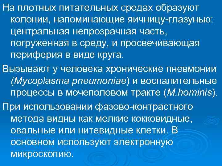 На плотных питательных средах образуют колонии, напоминающие яичницу-глазунью: центральная непрозрачная часть, погруженная в среду,