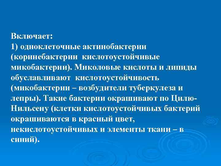 Включает: 1) одноклеточные актинобактерии (коринебактерии кислотоустойчивые микобактерии). Миколовые кислоты и липиды обуславливают кислотоустойчивость (микобактерии