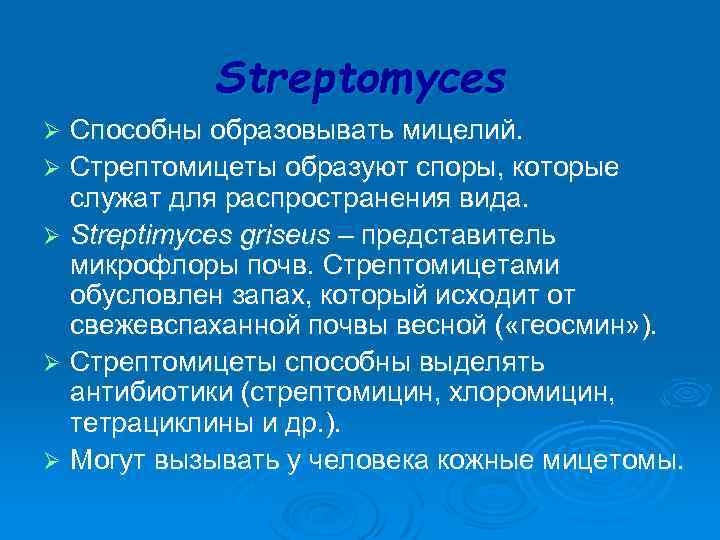  Streptomyces Ø Способны образовывать мицелий. Ø Стрептомицеты образуют споры, которые служат для распространения