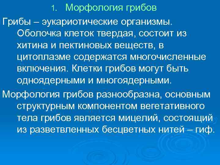  1. Морфология грибов Грибы – эукариотические организмы. Оболочка клеток твердая, состоит из хитина