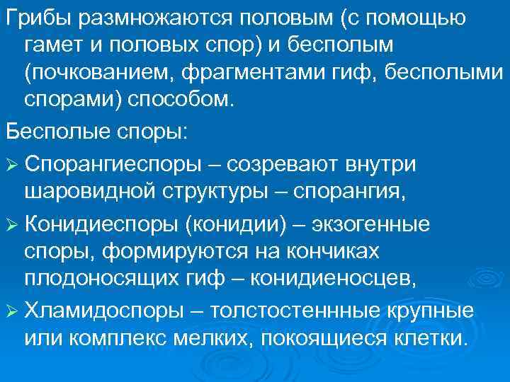 Грибы размножаются половым (с помощью гамет и половых спор) и бесполым (почкованием, фрагментами гиф,