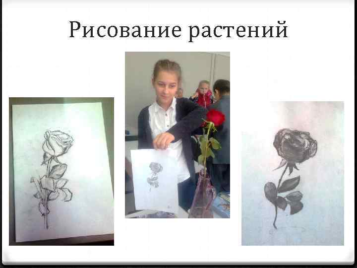 Рисование растений 