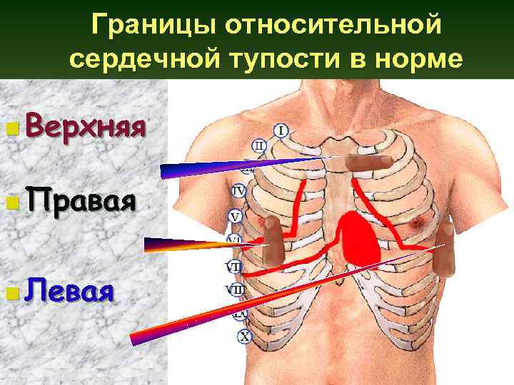 Левая граница относительной