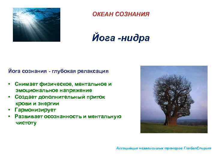       ОКЕАН СОЗНАНИЯ      Йога