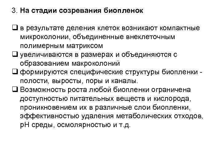 3. На стадии созревания биопленок q в результате деления клеток возникают компактные микроколонии, объединенные