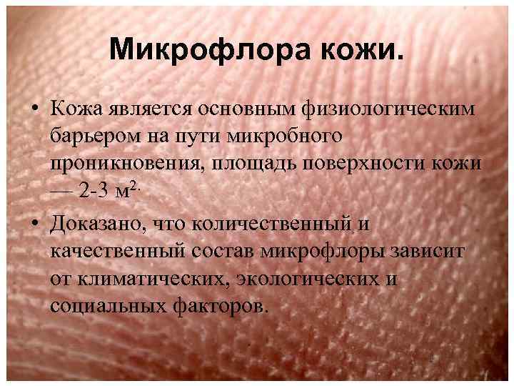 Микрофлора кожи. • Кожа является основным физиологическим барьером на пути микробного проникновения, площадь поверхности