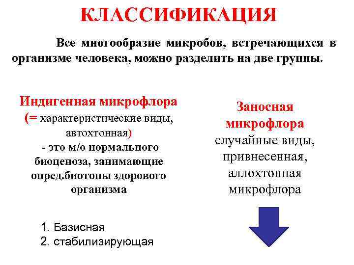 КЛАССИФИКАЦИЯ Все многообразие микробов, встречающихся в организме человека, можно разделить на две группы. Индигенная