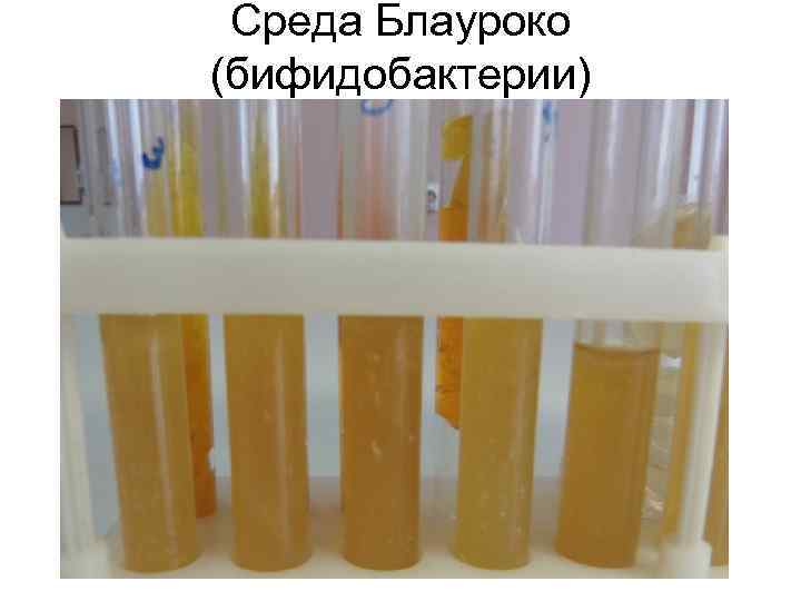 Среда Блауроко (бифидобактерии) 