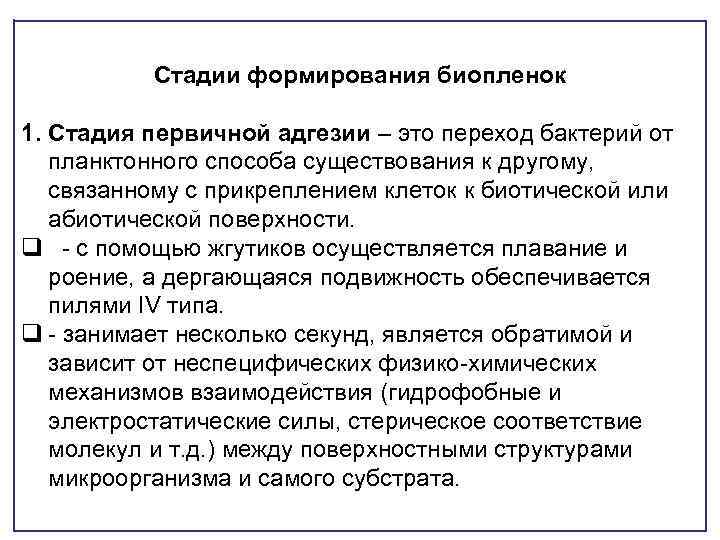 Стадии формирования биопленок 1. Стадия первичной адгезии – это переход бактерий от планктонного способа