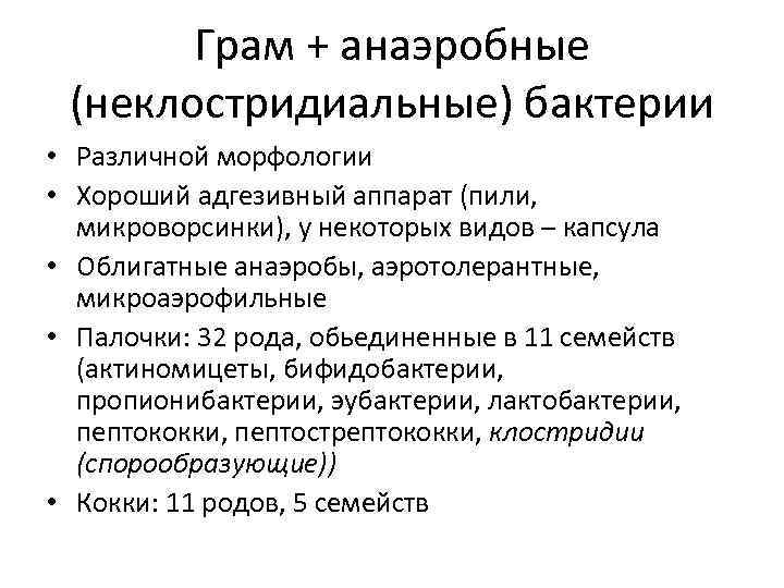 Грам + анаэробные (неклостридиальные) бактерии • Различной морфологии • Хороший адгезивный аппарат (пили, микроворсинки),