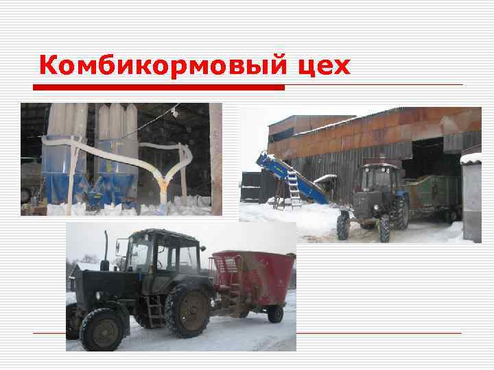 Комбикормовый цех 