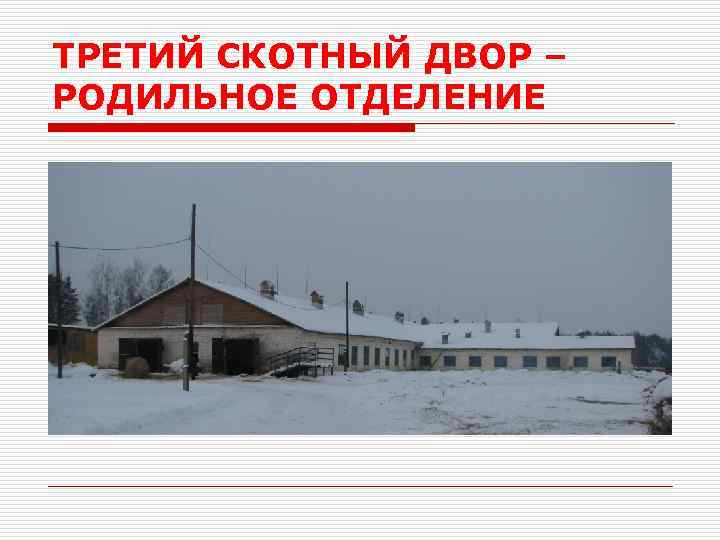 ТРЕТИЙ СКОТНЫЙ ДВОР – РОДИЛЬНОЕ ОТДЕЛЕНИЕ 