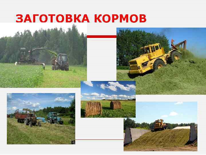 ЗАГОТОВКА КОРМОВ 