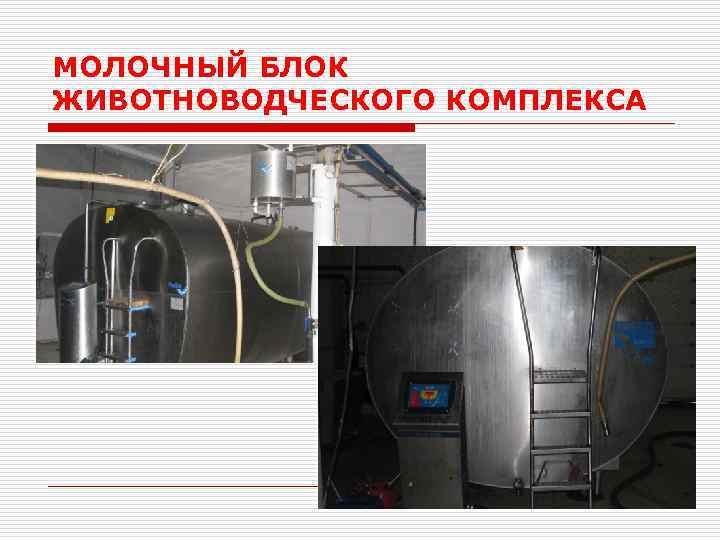 МОЛОЧНЫЙ БЛОК ЖИВОТНОВОДЧЕСКОГО КОМПЛЕКСА 