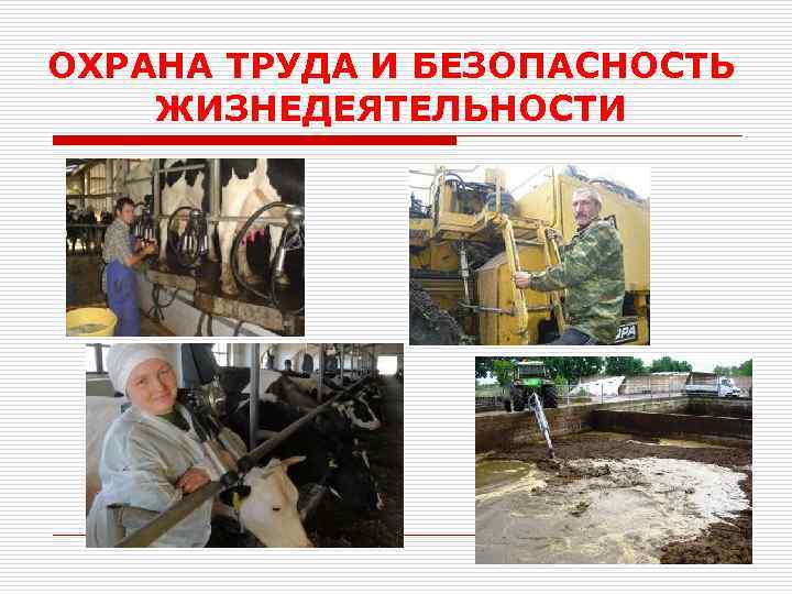 ОХРАНА ТРУДА И БЕЗОПАСНОСТЬ ЖИЗНЕДЕЯТЕЛЬНОСТИ 
