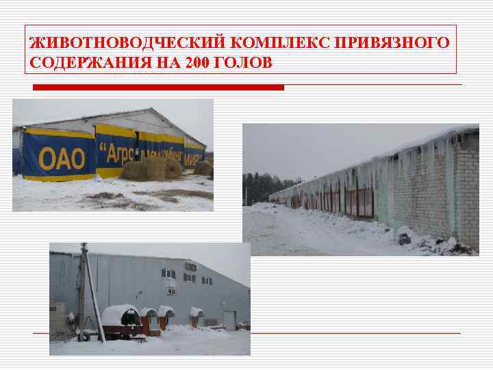 ЖИВОТНОВОДЧЕСКИЙ КОМПЛЕКС ПРИВЯЗНОГО СОДЕРЖАНИЯ НА 200 ГОЛОВ 
