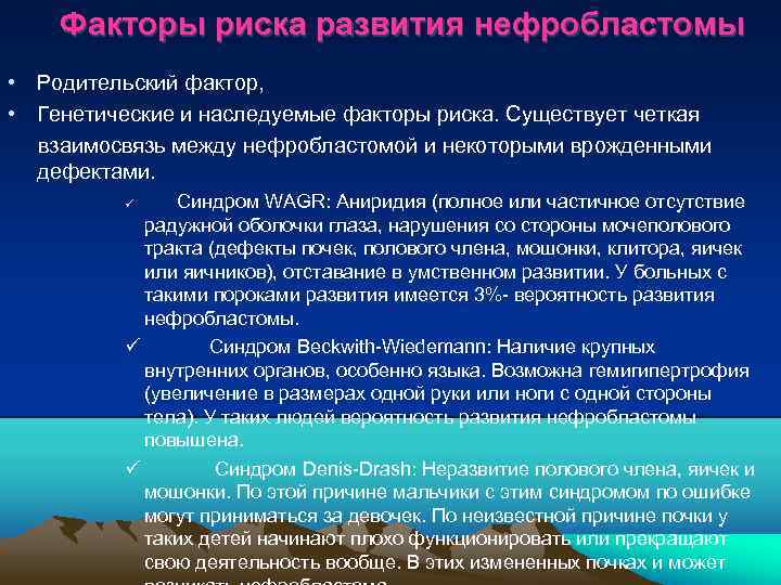 Факторы риска развития нефробластомы • Родительский фактор, • Генетические и наследуемые факторы риска. Существует