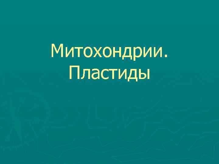 Митохондрии. Пластиды 
