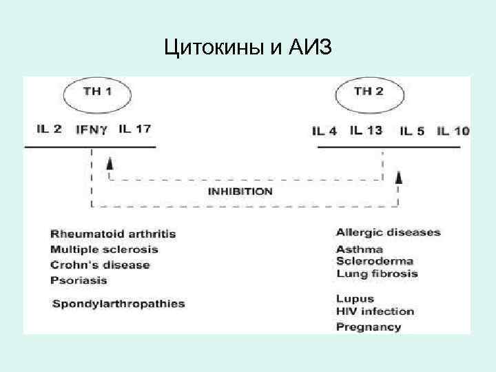 Цитокины и АИЗ 