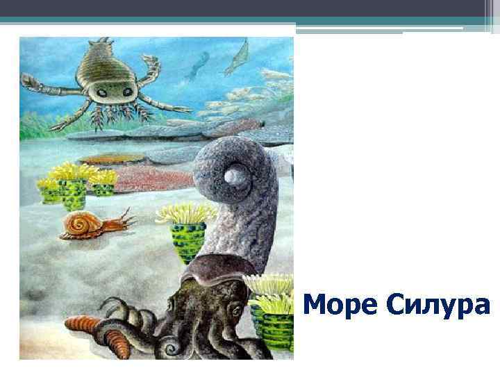 Море Силура 