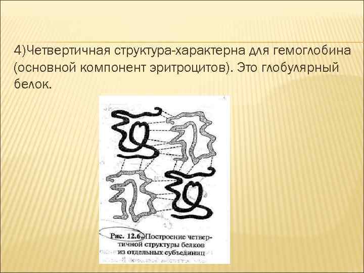 4)Четвертичная структура-характерна для гемоглобина (основной компонент эритроцитов). Это глобулярный белок. 