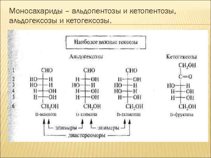 Моносахариды – альдопентозы и кетопентозы, альдогексозы и кетогексозы. 