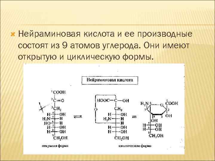  Нейраминовая кислота и ее производные состоят из 9 атомов углерода. Они имеют открытую