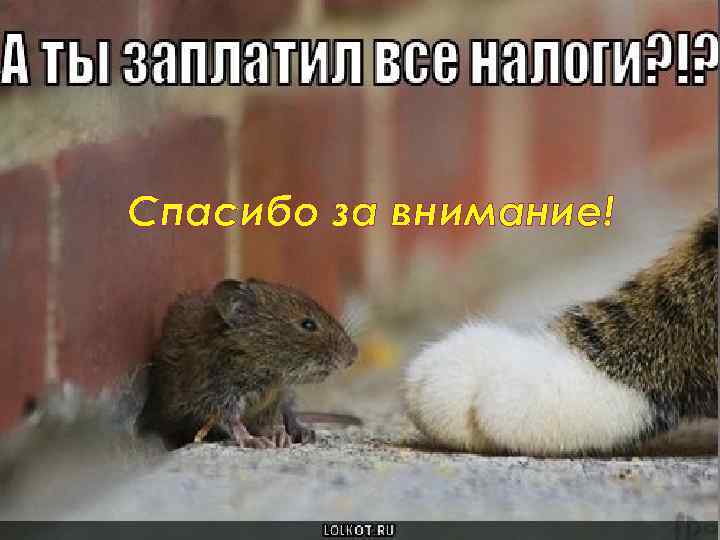 Спасибо за внимание! 