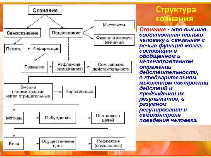 Структура сознания Сознание - это высшая, свойственная только человеку и связанная с речью функция