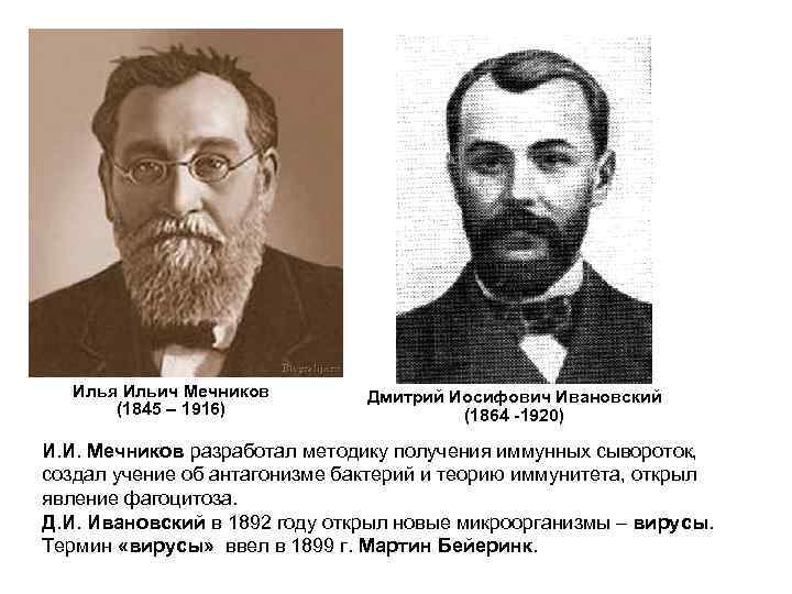 Илья Ильич Мечников (1845 – 1916) Дмитрий Иосифович Ивановский (1864 -1920) И. И. Мечников