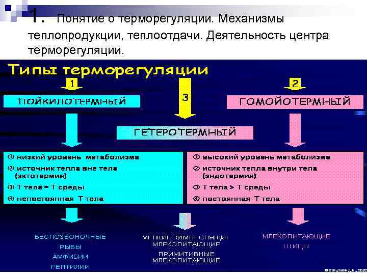 1. Понятие о терморегуляции. Механизмы теплопродукции, теплоотдачи. Деятельность центра терморегуляции. 