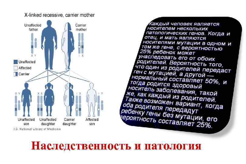 Наследственность и патология 