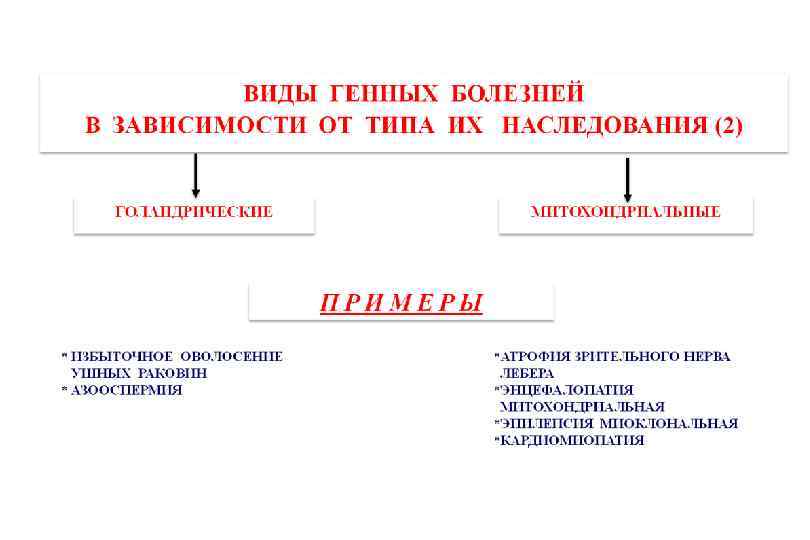 Генные болезни схема