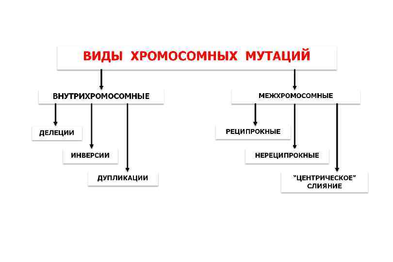 Типы мутаций рисунки