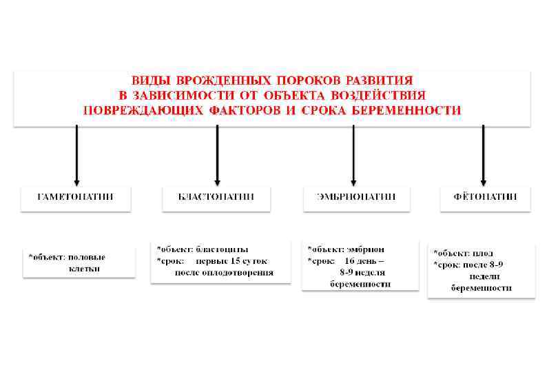 Наследственность является определяющим фактором конституции по схеме