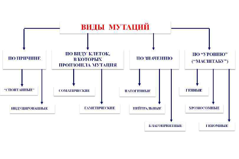 Виды мутаций картинки