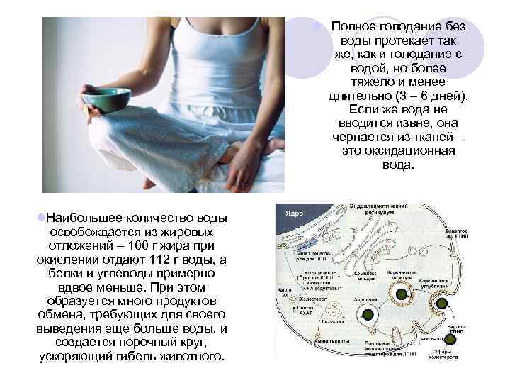 l Полное голодание без воды протекает так же, как и голодание с водой, но