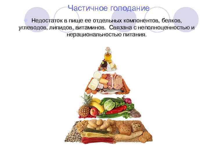 Частичное голодание l Недостаток в пище ее отдельных компонентов, белков, углеводов, липидов, витаминов. Связана