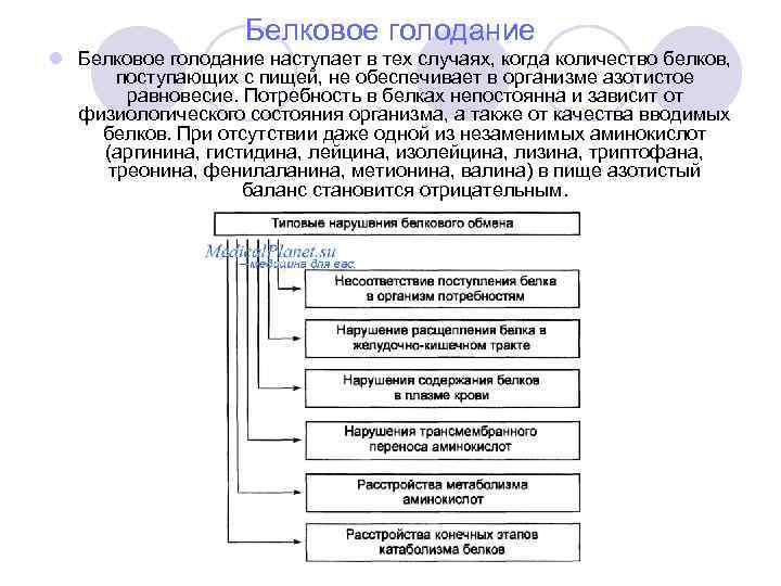 Белковое голодание l Белковое голодание наступает в тех случаях, когда количество белков, поступающих с