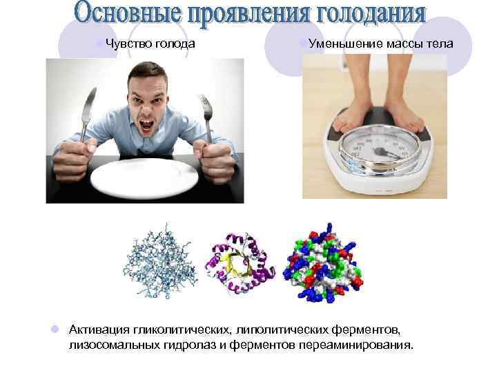 l. Чувство голода l. Уменьшение массы тела l Активация гликолитических, липолитических ферментов, лизосомальных гидролаз