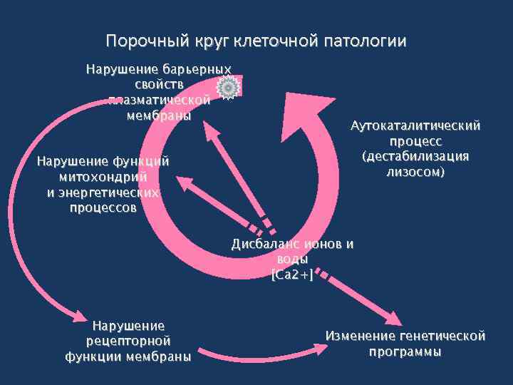 Презентация по патологии на тему повреждения