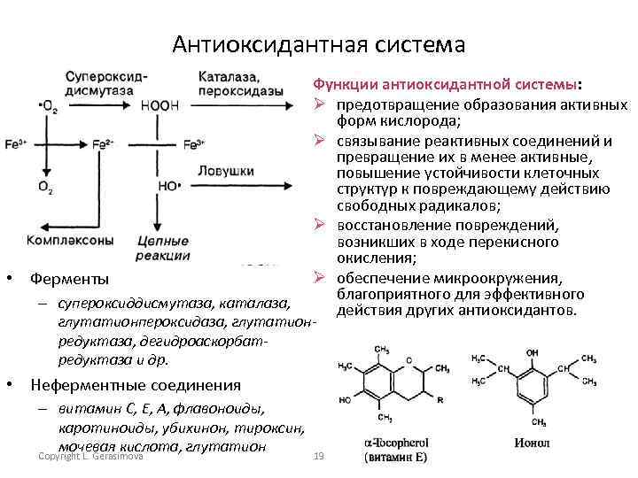 Минеральные вещества для антиоксидантной