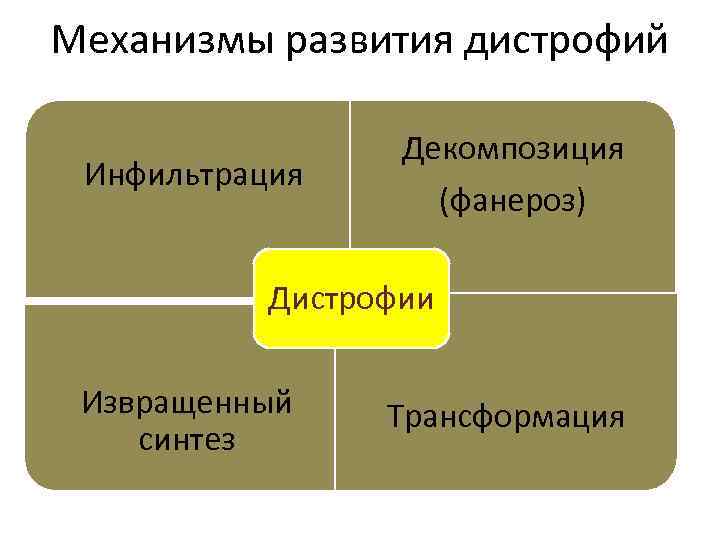 Механизмы развития дистрофий Инфильтрация Декомпозиция (фанероз) Дистрофии Извращенный синтез Трансформация 